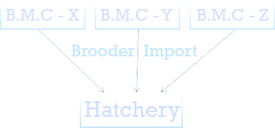 ihatch