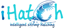 iHatch